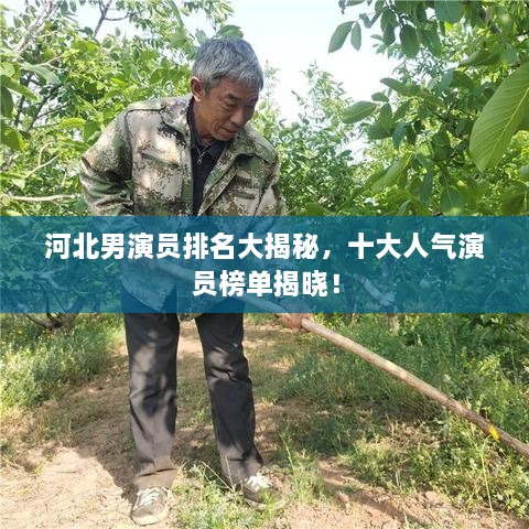 河北男演员排名大揭秘，十大人气演员榜单揭晓！