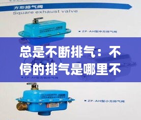 总是不断排气：不停的排气是哪里不好 