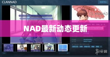 NAD最新动态更新