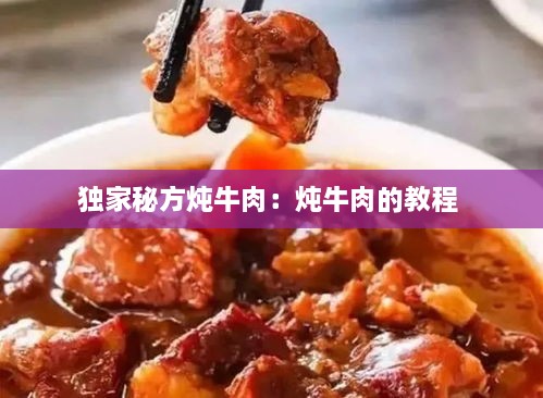独家秘方炖牛肉：炖牛肉的教程 