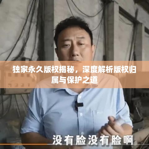 独家永久版权揭秘，深度解析版权归属与保护之道