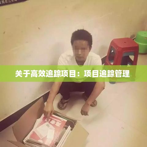 关于高效追踪项目：项目追踪管理 