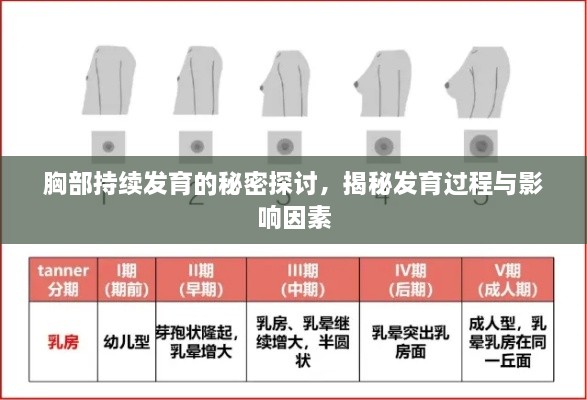 胸部持续发育的秘密探讨，揭秘发育过程与影响因素