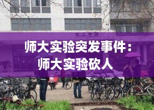 师大实验突发事件：师大实验砍人 