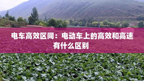 电车高效区间：电动车上的高效和高速有什么区别 
