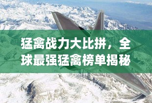 猛禽战力大比拼，全球最强猛禽榜单揭秘！