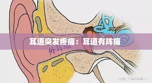 耳道突发疼痛：耳道有阵痛 