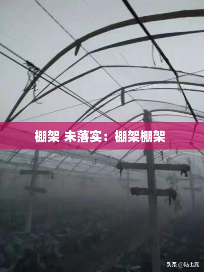 棚架 未落实：棚架棚架 