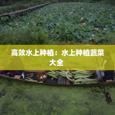 高效水上种植：水上种植蔬菜大全 