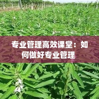 专业管理高效课堂：如何做好专业管理 