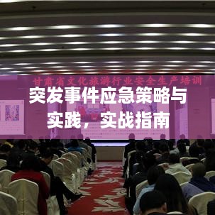 突发事件应急策略与实践，实战指南