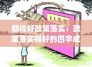 期待好政策落实：政策落实得好的四字成语 