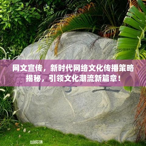 网文宣传，新时代网络文化传播策略揭秘，引领文化潮流新篇章！