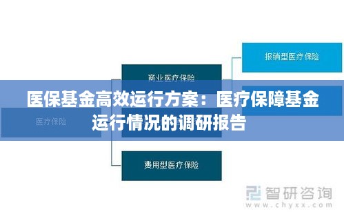 医保基金高效运行方案：医疗保障基金运行情况的调研报告 