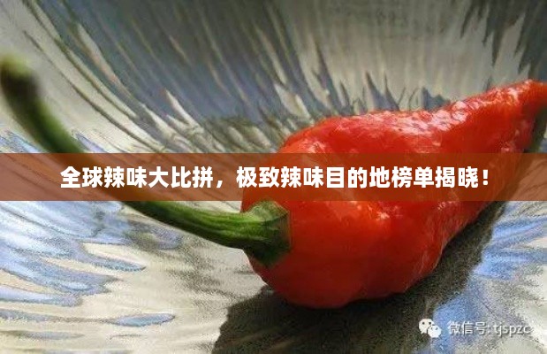 张灯结彩 第2页
