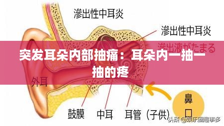 突发耳朵内部抽痛：耳朵内一抽一抽的疼 