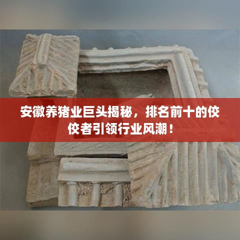 安徽养猪业巨头揭秘，排名前十的佼佼者引领行业风潮！