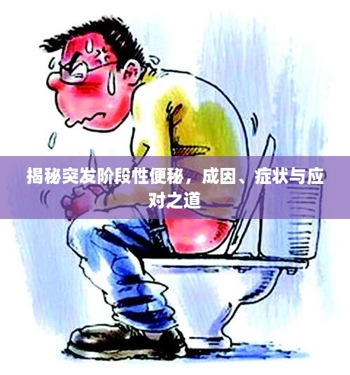 揭秘突发阶段性便秘，成因、症状与应对之道