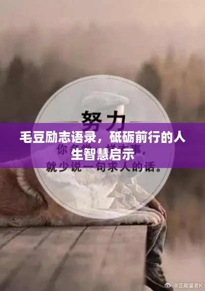毛豆励志语录，砥砺前行的人生智慧启示