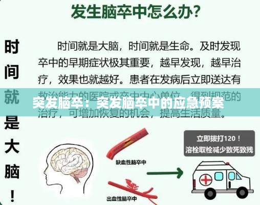 突发脑卒：突发脑卒中的应急预案 
