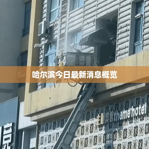 哈尔滨今日最新消息概览