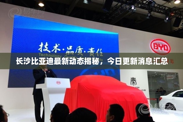 长沙比亚迪最新动态揭秘，今日更新消息汇总