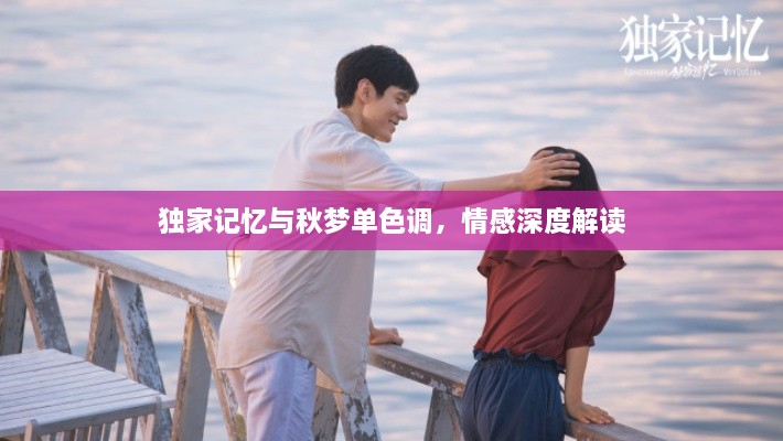 独家记忆与秋梦单色调，情感深度解读
