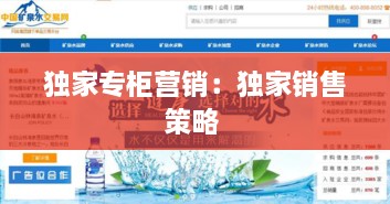 独家专柜营销：独家销售策略 