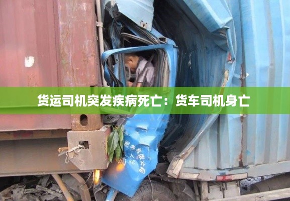 货运司机突发疾病死亡：货车司机身亡 