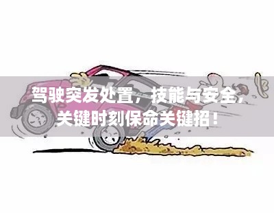驾驶突发处置，技能与安全，关键时刻保命关键招！