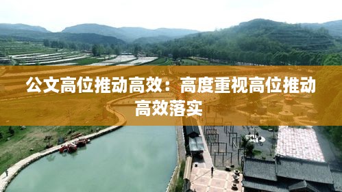 公文高位推动高效：高度重视高位推动高效落实 