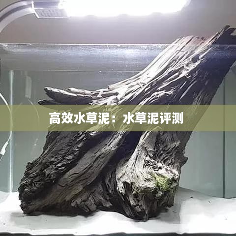 寥若晨星 第2页