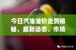 今日汽油油价走势揭秘，最新动态、市场分析及影响因素探讨