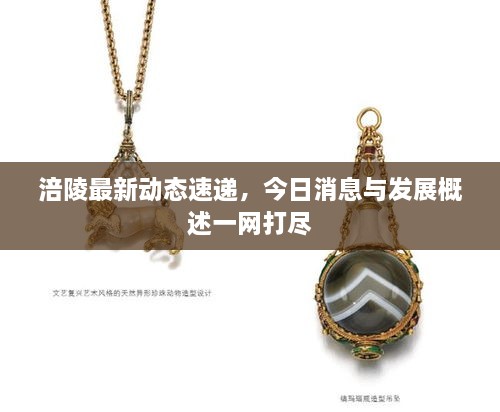 涪陵最新动态速递，今日消息与发展概述一网打尽