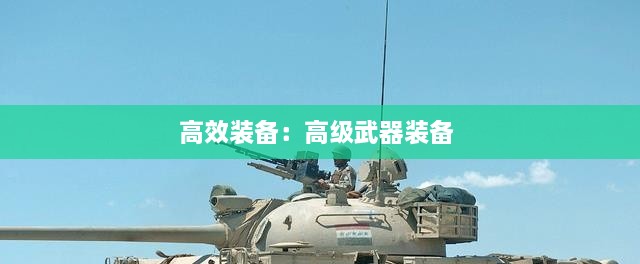 高效装备：高级武器装备 