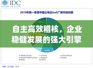 自主高效稽核，企业稳健发展的强大引擎