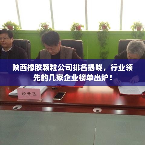 陕西橡胶颗粒公司排名揭晓，行业领先的几家企业榜单出炉！