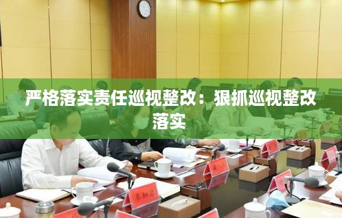 严格落实责任巡视整改：狠抓巡视整改落实 