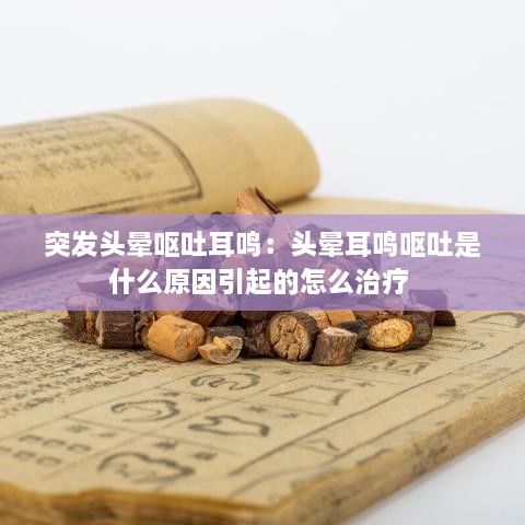突发头晕呕吐耳鸣：头晕耳鸣呕吐是什么原因引起的怎么治疗 