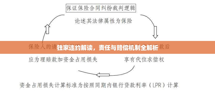 独家违约解读，责任与赔偿机制全解析
