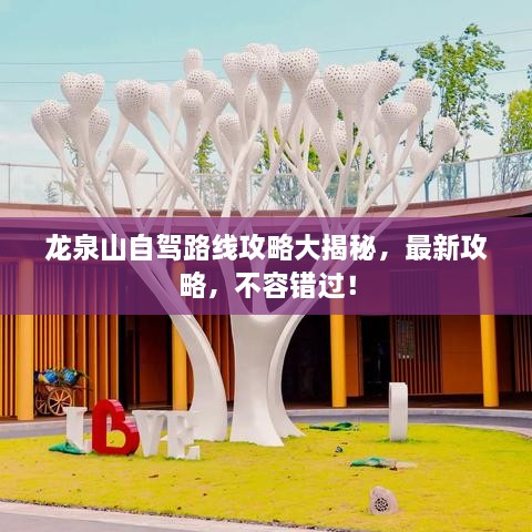 龙泉山自驾路线攻略大揭秘，最新攻略，不容错过！