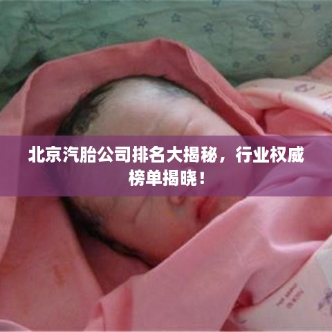 北京汽胎公司排名大揭秘，行业权威榜单揭晓！