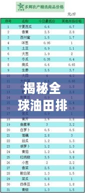 揭秘全球油田排名榜，新世界油田地位与影响力不容小觑