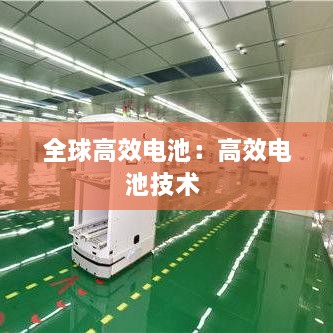 全球高效电池：高效电池技术 