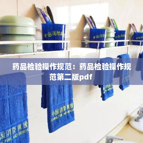 药品检验操作规范：药品检验操作规范第二版pdf 