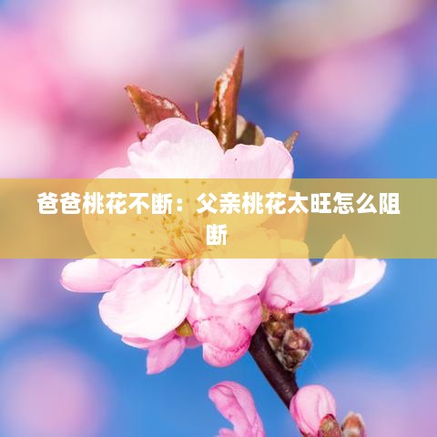 爸爸桃花不断：父亲桃花太旺怎么阻断 