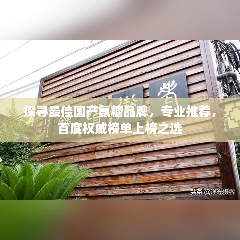 探寻最佳国产氨糖品牌，专业推荐，百度权威榜单上榜之选