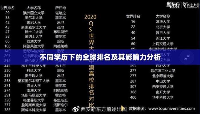 不同学历下的全球排名及其影响力分析