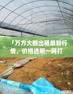 「万方大棚出租最新行情，价格透明一网打尽」