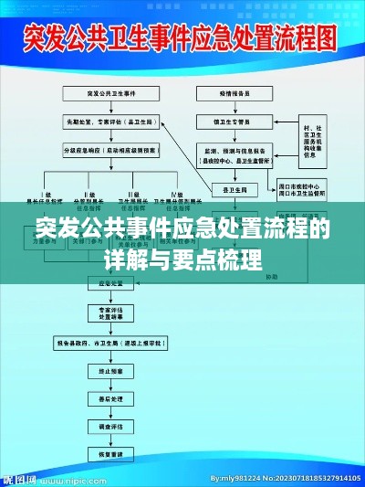 突发公共事件应急处置流程的详解与要点梳理